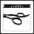 6 ' SS10 美髮剪刀(柳刃)_1