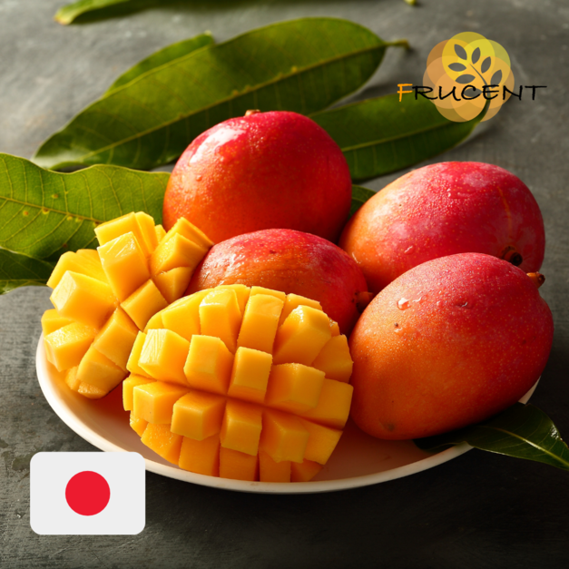 台灣愛文芒果｜IRWIN MANGO｜5㎏｜2.5㎏｜直送日本｜2026