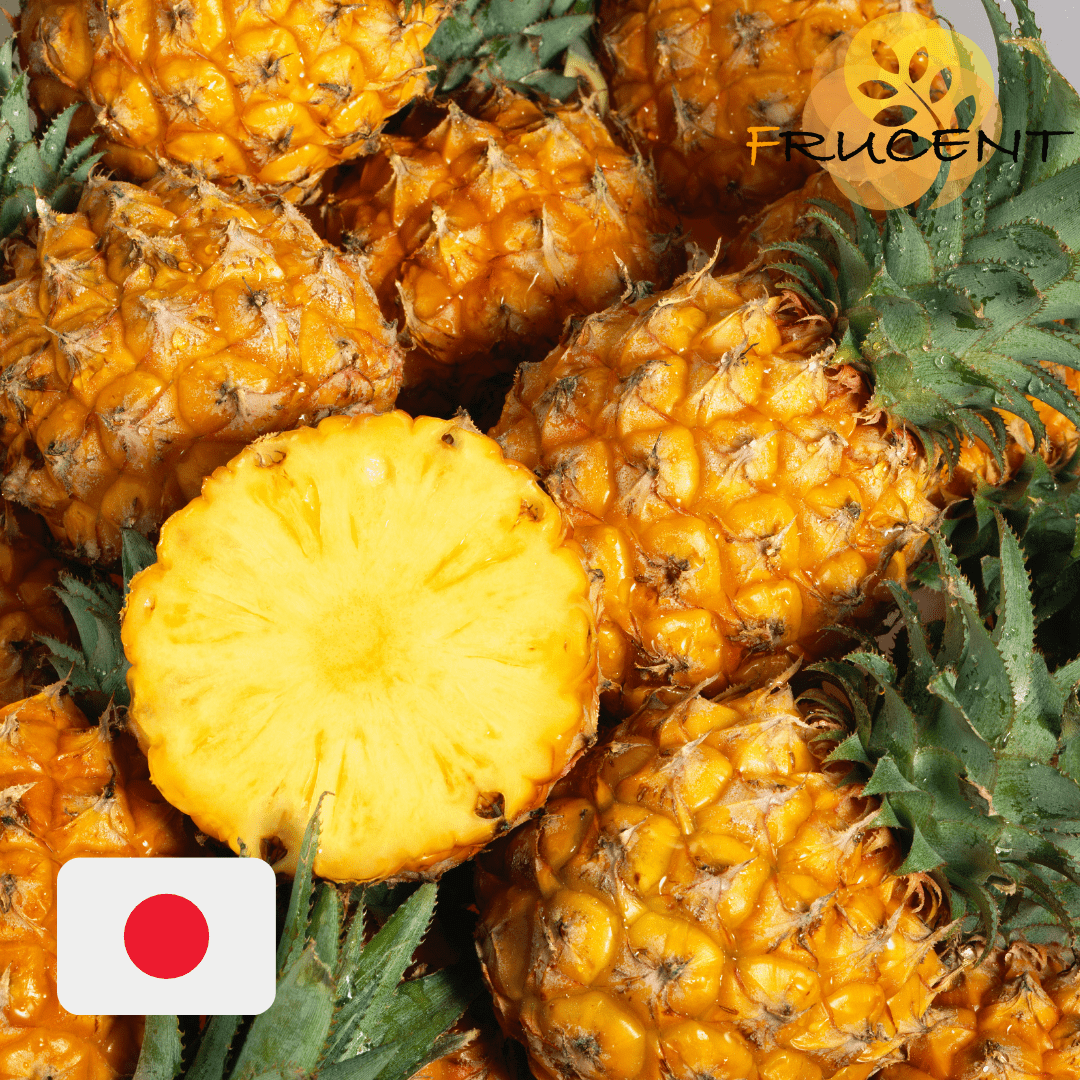 台灣金鑽鳳梨｜PINEAPPLE｜直送日本