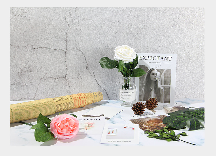 拍照神器 Ig美圖必備 雙面加厚背景紙 拍照背景 背景板 W R維爾國際 960c18 W R 維爾國際