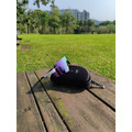 紫霞光感變色眼鏡 Violet_1