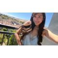 SL5- Everyday Heart 愛心蕾絲柔緞細肩帶睡衣裙 (三色選擇）_10