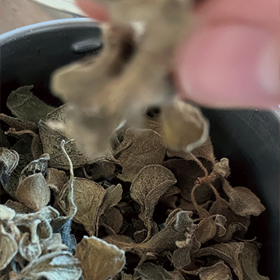 檸檬草 + 雪松 + 歐薄荷_1_23.jpg