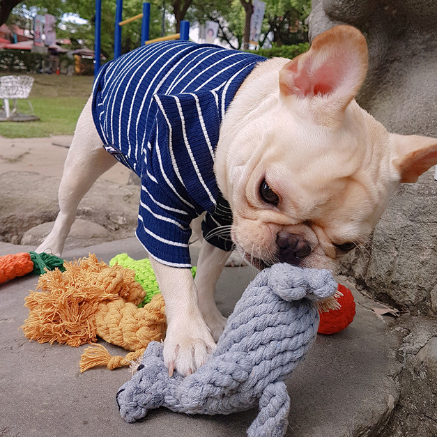 寵物療癒結繩玩具