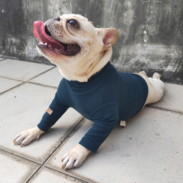 韓國基礎螺紋上衣