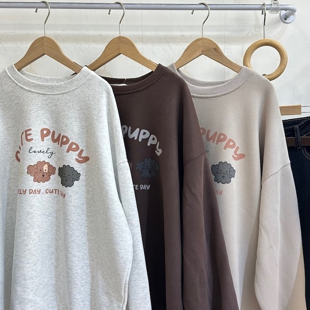 三隻貴賓狗狗大學Ｔ