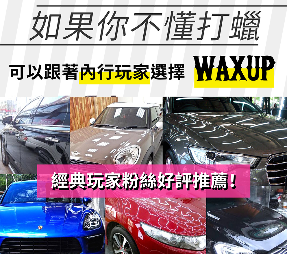 跟著內行選擇玩家棕櫚蠟