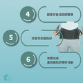 【THC】吸濕排汗10吋護腰帶 H3354_6