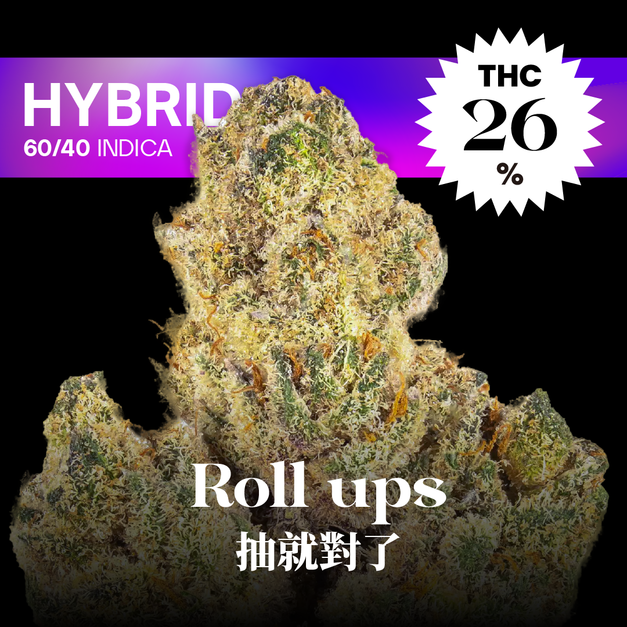 抽就對了｜Roll Ups