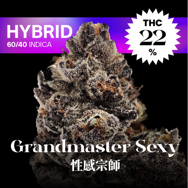 性感宗師｜Grandmaster Sexy