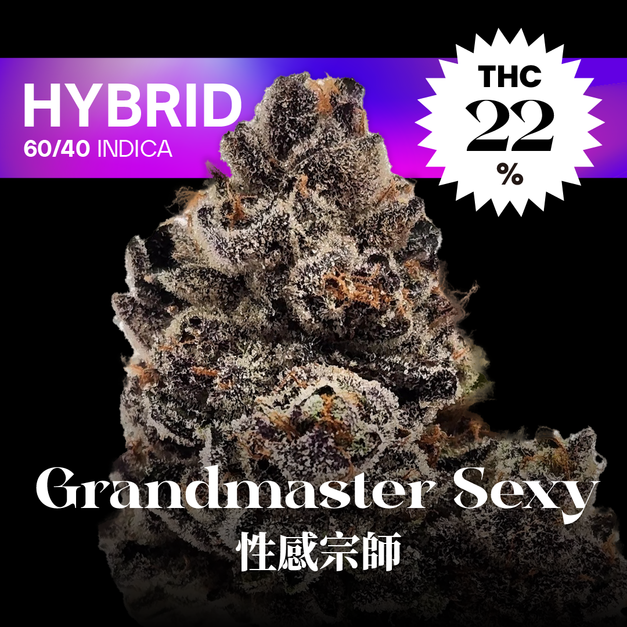 性感宗師｜Grandmaster Sexy