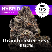 性感宗師｜Grandmaster Sexy