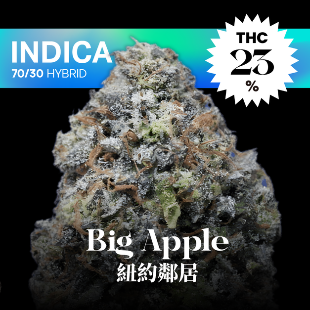 紐約鄰居｜Big Apple