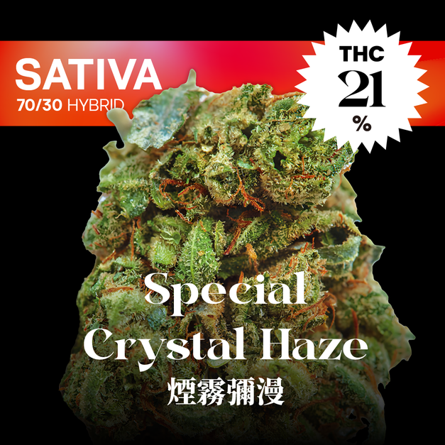 煙霧彌漫｜Special Crystal Haze