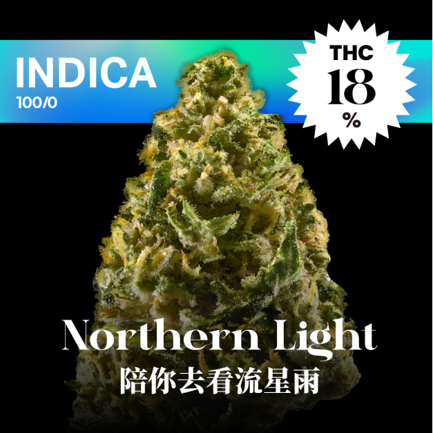 陪你去看流星雨｜Northern Light
