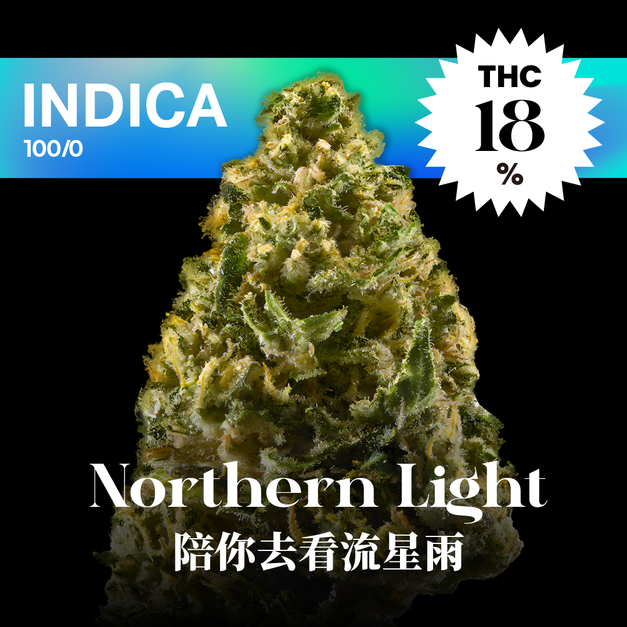陪你去看流星雨｜Northern Light
