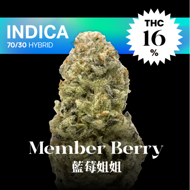 藍莓姐姐｜Member Berry