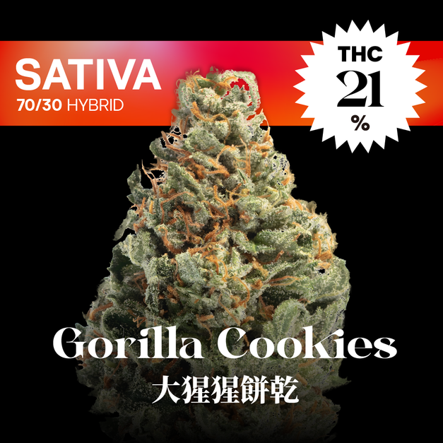 大猩猩餅乾｜Gorilla Cookies