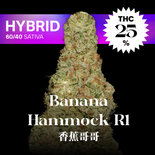 香蕉哥哥｜Banana Hammock R1