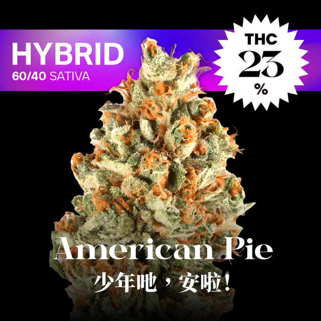 少年吔，安啦！｜American Pie