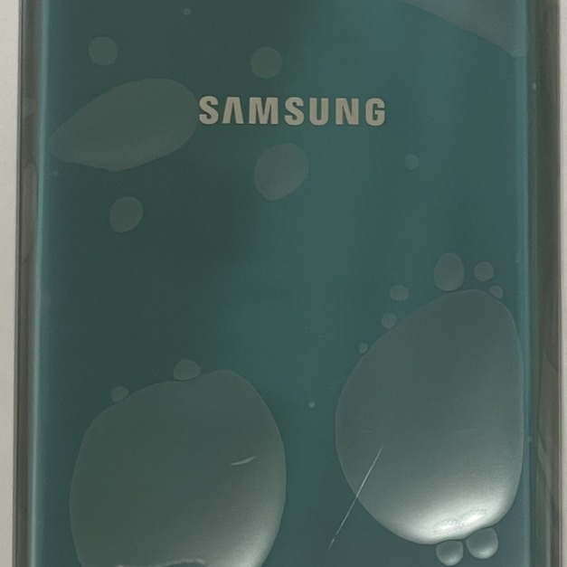 三星 S10 (G973F) 背蓋 (綠色) *帶鏡頭玻璃+鏡框