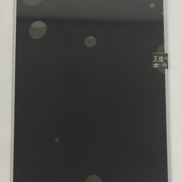 OPPO R9 Plus (X9079) 總成 (白色) *換面