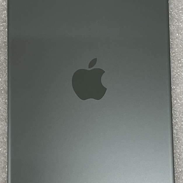 iPhone 11 Pro Max 大孔玻璃 (綠色)
