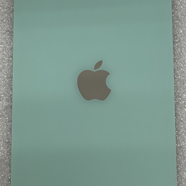 iPhone 11 大孔玻璃 (綠色)