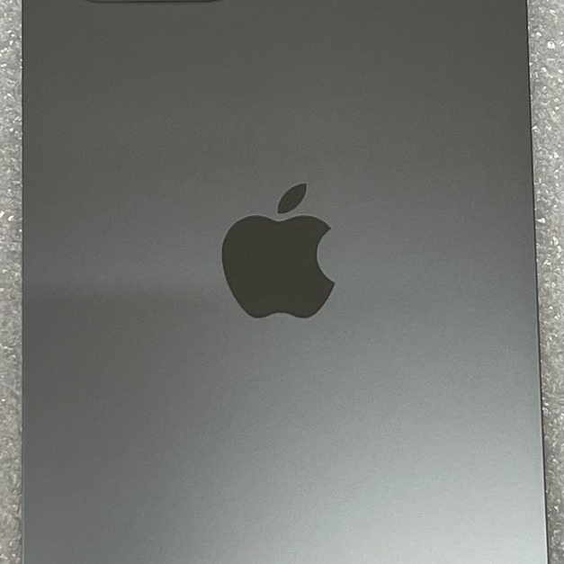 iPhone 12 Pro Max 大孔玻璃 (黑色)