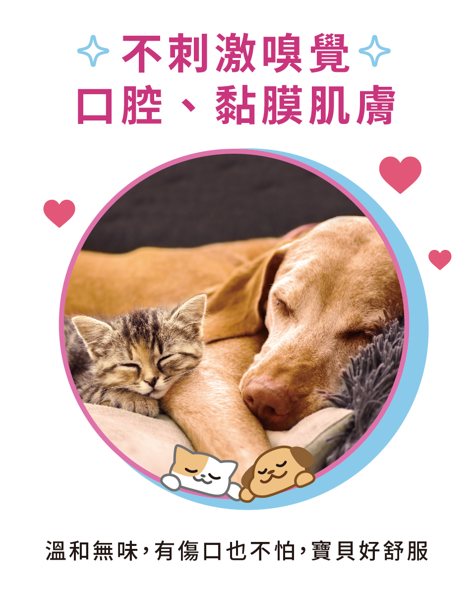 寵物口腔，口腔噴霧，降低口臭，不刺激嗅覺，口腔，溫和無味
