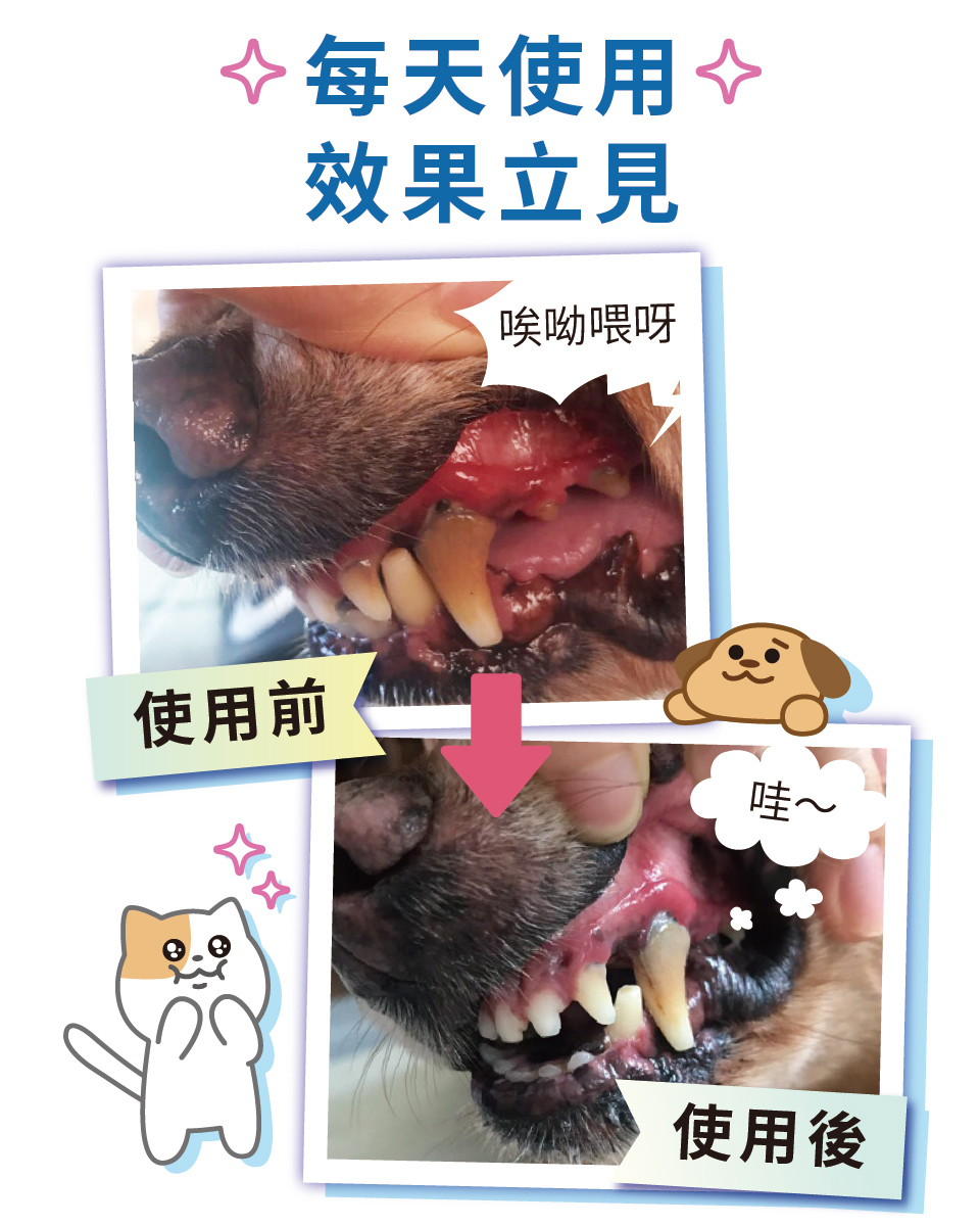 寵物潔牙，寵物口腔，潔牙凝露，每天使用，效果立見