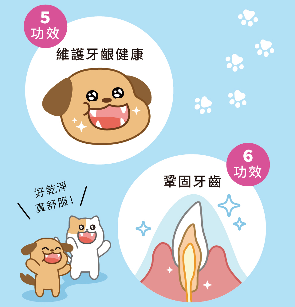 寵物潔牙，寵物口腔，潔牙凝露，維護牙齦健康，鞏固牙齒