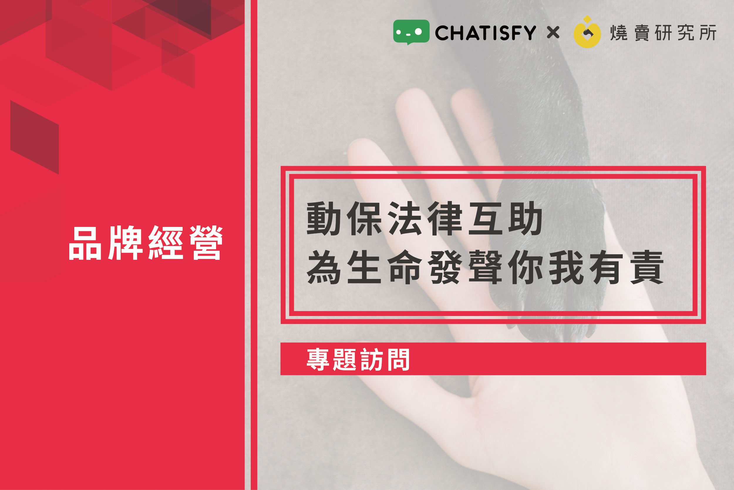 【專題訪問】動保法律互助，為生命發聲你我有責