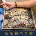 【就是愛海鮮】超大手臂蝦大草蝦7-8p 1kg±10% 燒烤/清蒸/川燙 超像龍蝦的口感 [量大可配合批發/團購]_3