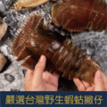 當季限量!!!台灣東北角現撈蝦蛄撇仔，媲美龍蝦肉的紮實口感 (數量有限售完為止)_3