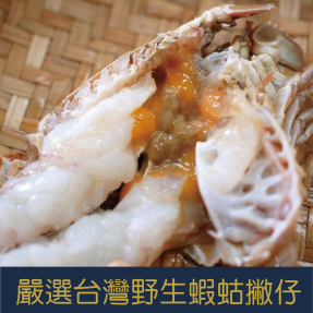 當季限量!!!台灣東北角現撈蝦蛄撇仔，媲美龍蝦肉的紮實口感 (數量有限售完為止)