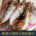 當季限量!!!台灣東北角現撈蝦蛄撇仔，媲美龍蝦肉的紮實口感 (數量有限售完為止)_4