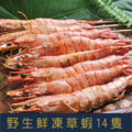 【就是愛海鮮】野生鮮凍草蝦14p 實重270g±10% 燒烤/鹽烤/火鍋 愛蝦首選 [量大可配合批發/團購]_2