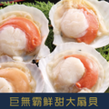 【就是愛海鮮】野生巨無霸大扇貝10-12cm*4顆/包 焗烤/烤肉/火鍋 都超方便 [量大可配合批發/團購]_1