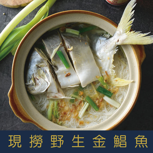 【就是愛海鮮】現撈野生大黃金鯧魚 600-700公克 乾煎/油炸 [量大可配合批發/團購]