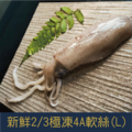 【就是愛海鮮】新鮮2/3極凍 4A 軟絲 250g±10%/包 [量大可配合批發/團購]