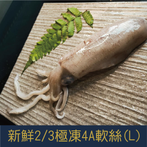 【就是愛海鮮】新鮮2/3極凍 4A 軟絲 250g±10%/包 [量大可配合批發/團購]