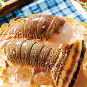 【就是愛海鮮】野生頂級龍蝦身8盎司±10%單隻[量大可配合批發/團購]