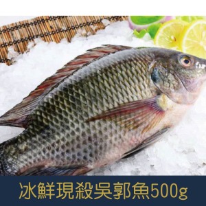 【就是愛海鮮】冰鮮-現殺吳郭魚 500g±10%鮮味美 並富含多種營養 烤魚最佳選擇[量大可配合批發/團購]