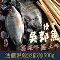 【就是愛海鮮】活體現殺吳郭魚 500g±10%【冷凍真空出貨】 鮮味美 並富含多種營養 烤魚最佳選擇[量大可配合批發/團購]