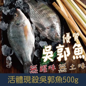 【就是愛海鮮】活體現殺吳郭魚 500g±10%【冷凍真空出貨】 鮮味美 並富含多種營養 烤魚最佳選擇[量大可配合批發/團購]