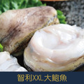 【就是愛海鮮】樂可思極品智利XXL大鮑魚1000g±10%/4-6顆 滷製/火鍋 高貴不貴營養價值高[量大可配合批發/團購]