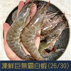 【就是愛海鮮】國王蝦King 凍鮮巨無霸極品超甜白蝦(26/30)如缺貨出同規格不同包裝 [量大可配合批發/團購]
