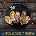 【就是愛海鮮】日本冷凍奶香全殼生蠔 500g±10%清甜奶香味 鮮度爆表 [量大可配合批發/團購]