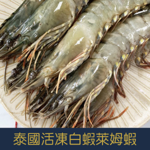 【就是愛海鮮】泰國活凍白蝦CHINHU萊姆蝦(21/25) 如缺貨出同規格不同包裝[量大可配合批發/團購]